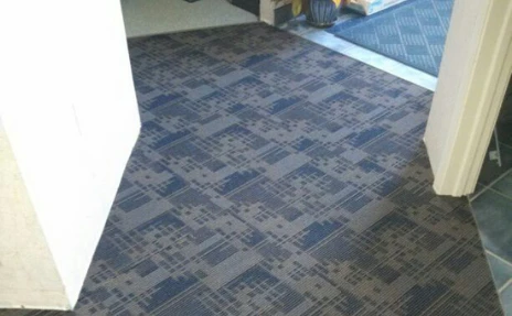 blue and gray carpet in hall